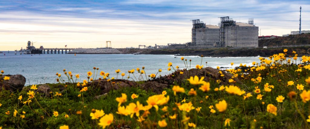 protection and preservation of the environment
