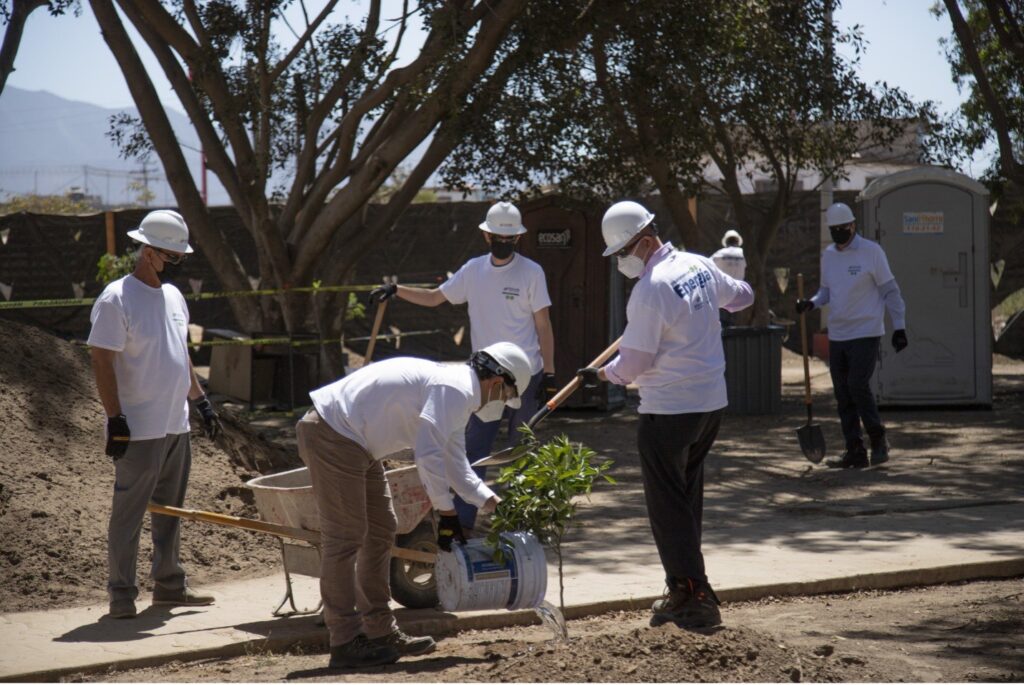 eca lng volunteers trees 2