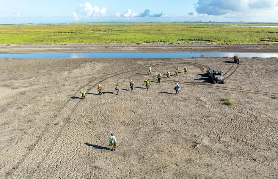 restoring 1,268 acres of marshland